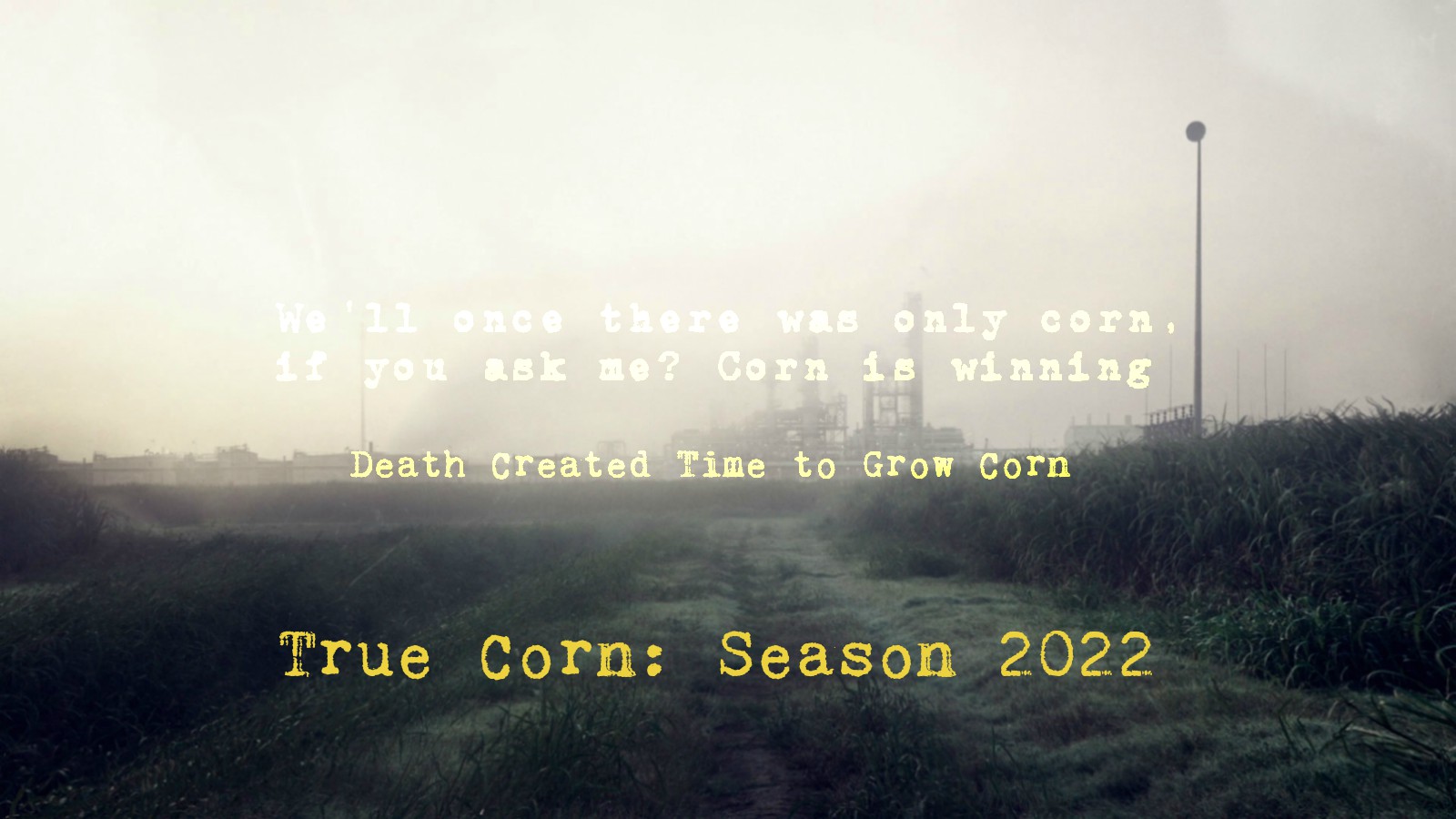TRUE CORN
