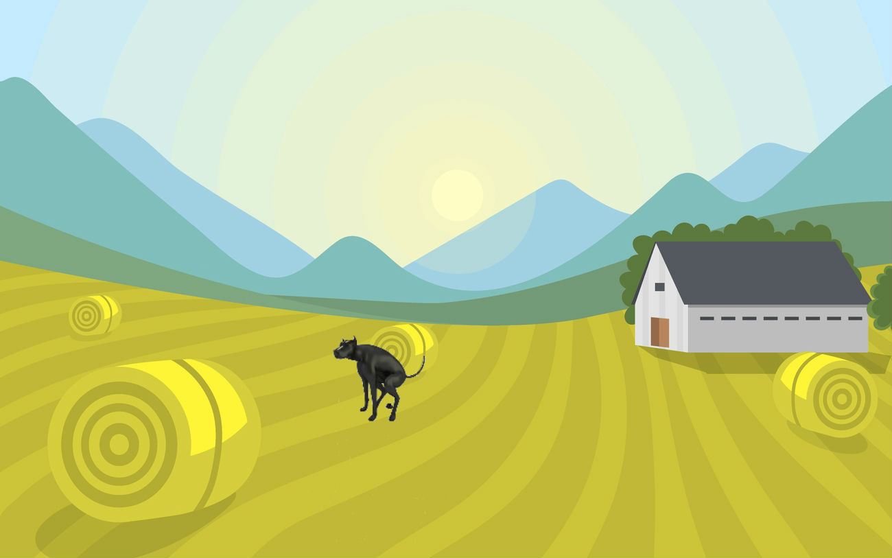Watch Your Step Farm