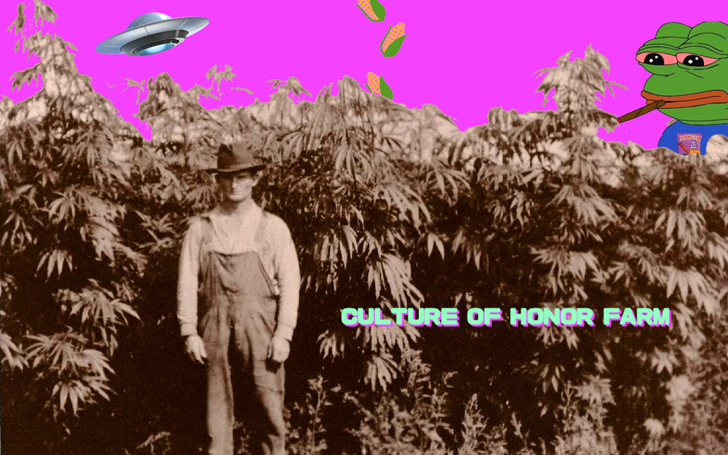 CULTURE OF HONOR FARM